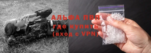 соль ск Надым