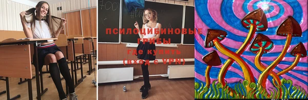 стафф Балахна