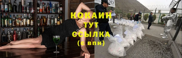 мдпв Навашино