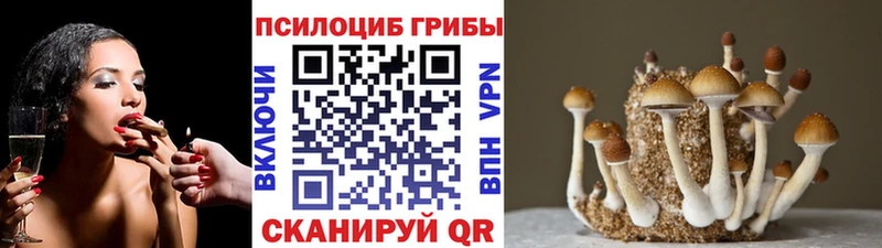 Псилоцибиновые грибы мухоморы  Отрадное 